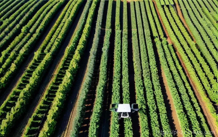 스마트 농업에서의 센서 네트워크 활용 - **"Intelligent Irrigation in the Alentejo Vineyard"**
    A wide-angle, cinematic shot of a vibrant ...