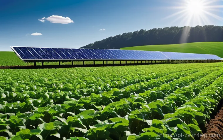 센서 네트워크 구축 시 고려사항 - **Prompt:** A sprawling, sun-drenched agricultural field, reminiscent of a large farm in a South Ame...